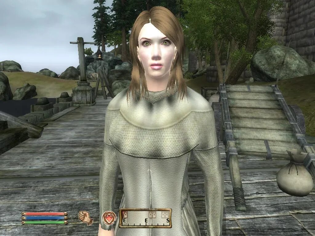 Обливион с модами и дополнениями. The elder scrolls oblivion лица. обливион персонажи. обливион редактор. the elder scrolls oblivion редактор персонажей.