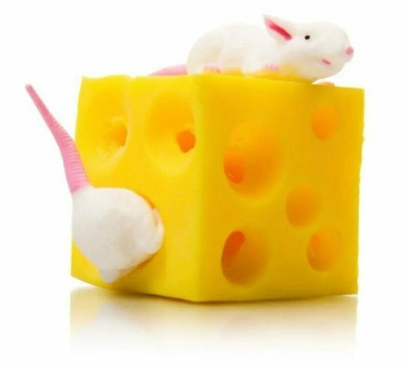 тутор на мышку в сыре. тутор на мышку в сыре. мышка в сыре. мышка в доме сыра. мышиный сыр.