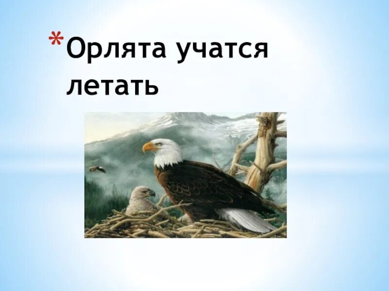 Какие должны быть орлята россии. Картина Орлята России. Орлята России атрибуты. Орлята России презентация. Орлята учатся летать.