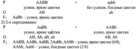 При скрещивании душистого горошка с усиками