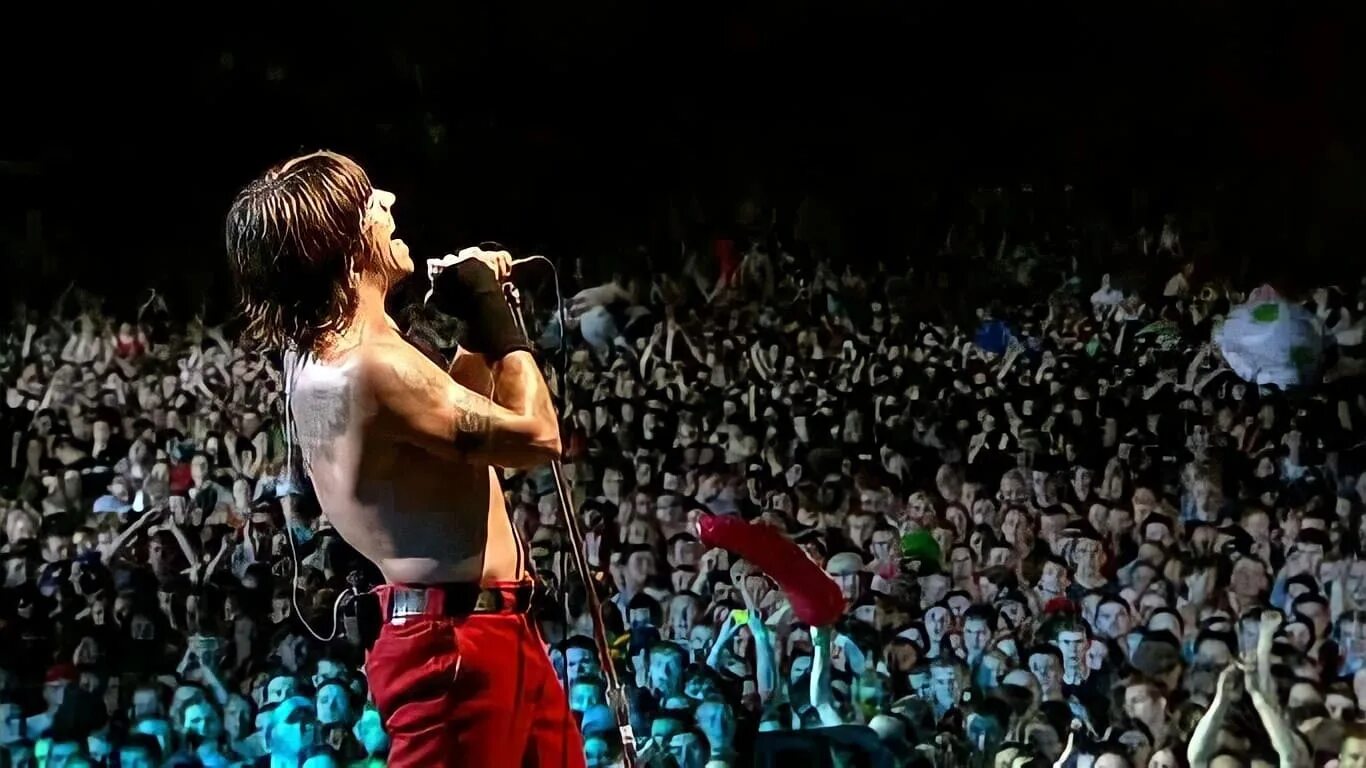 Red hot chili peppers give. Red hot Chili Peppers концерт. Slane Castle RHCP. Red hot Chili Peppers Live. RHCP Live.