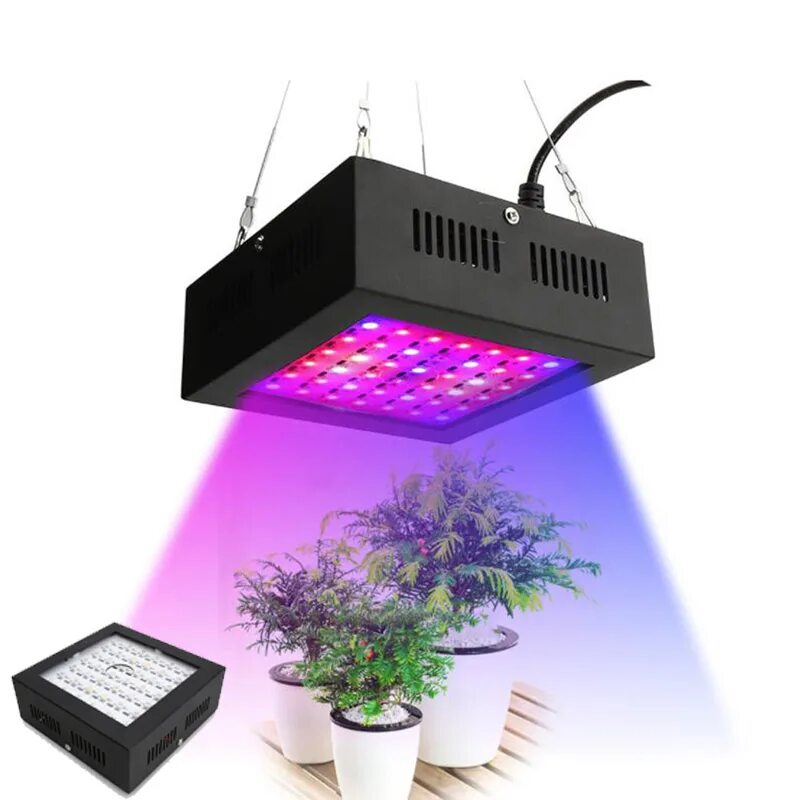 Led grow plant. Светодиодный светильник для растений cob50w. Светодиодная лампа для растений ALIEXPRESS led grow Light. Фитолампа для растений par30 led grow Light. Светильник для цветов Plant grow Light led.