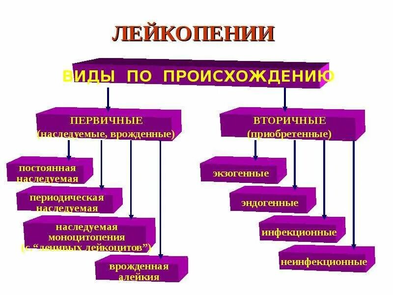 Патогенез лейкоцитоза патофизиология. Механизм развития лейкопении. Лейкоцитоз механизм развития патофизиология. Лейкопения патфиз.