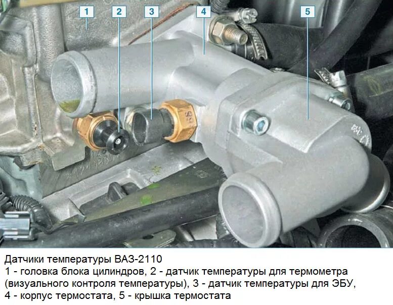 Датчик температуры ваз 2110 8 клапанов инжектор. Датчик температуры двигателя ВАЗ 2110 8. Датчик указателя температуры двигателя ВАЗ 2110. Датчик указателя охлаждающей жидкости Приора 16 клапанов. Датчик указателя температуры Приора 16 клапанов.