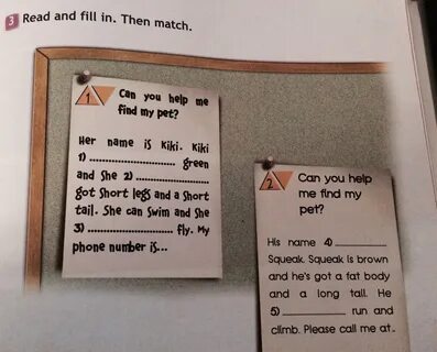 Read and fill in