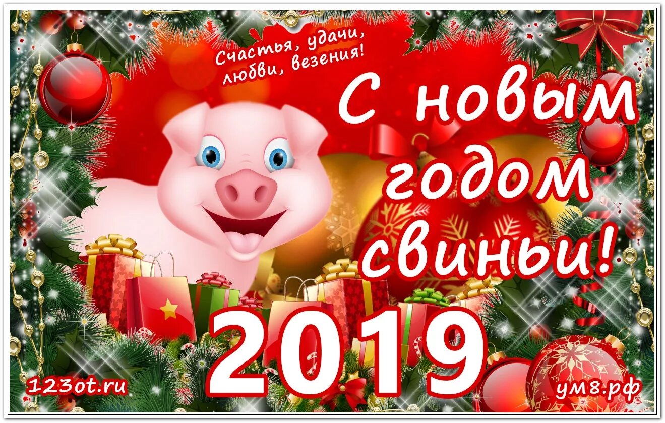 С новым годом свиньи. С новым годом 2019. Новый год 2019 год свиньи. Открытки с новым годом 2019 свиньи. 2019 год назначен годом