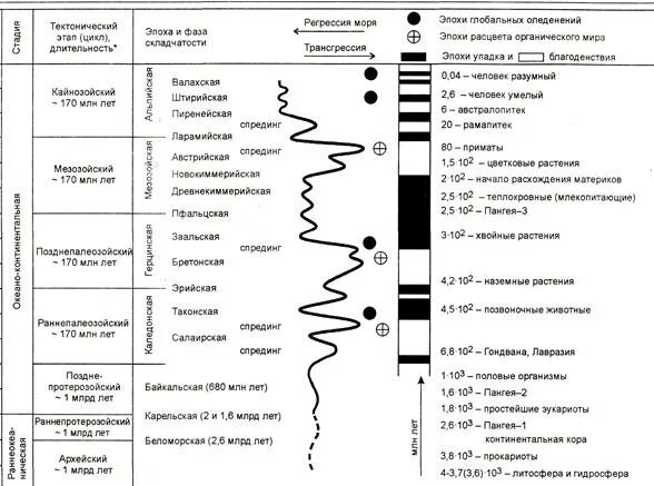 Эпохи складчатости таблица 8 класс география Геология мезозоя: изучаем складчатость через фотографии Лента воспоминаний thaga