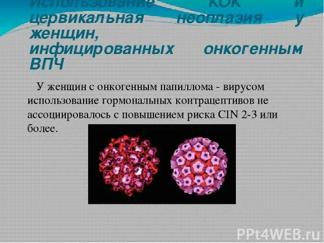 ВПЧ онкогенного типа. Вирус папилломы низкого онкогенного риска. ВПЧ высокого онкогенного риска. ВПЧ низкого и высокого онкогенного риска у женщин.