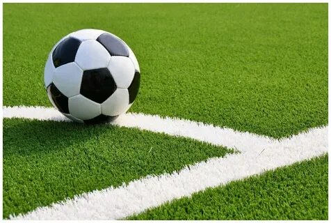 Семена газонной травы Газонcity Настоящий спортивный (0,3 кг) - купить в интерне