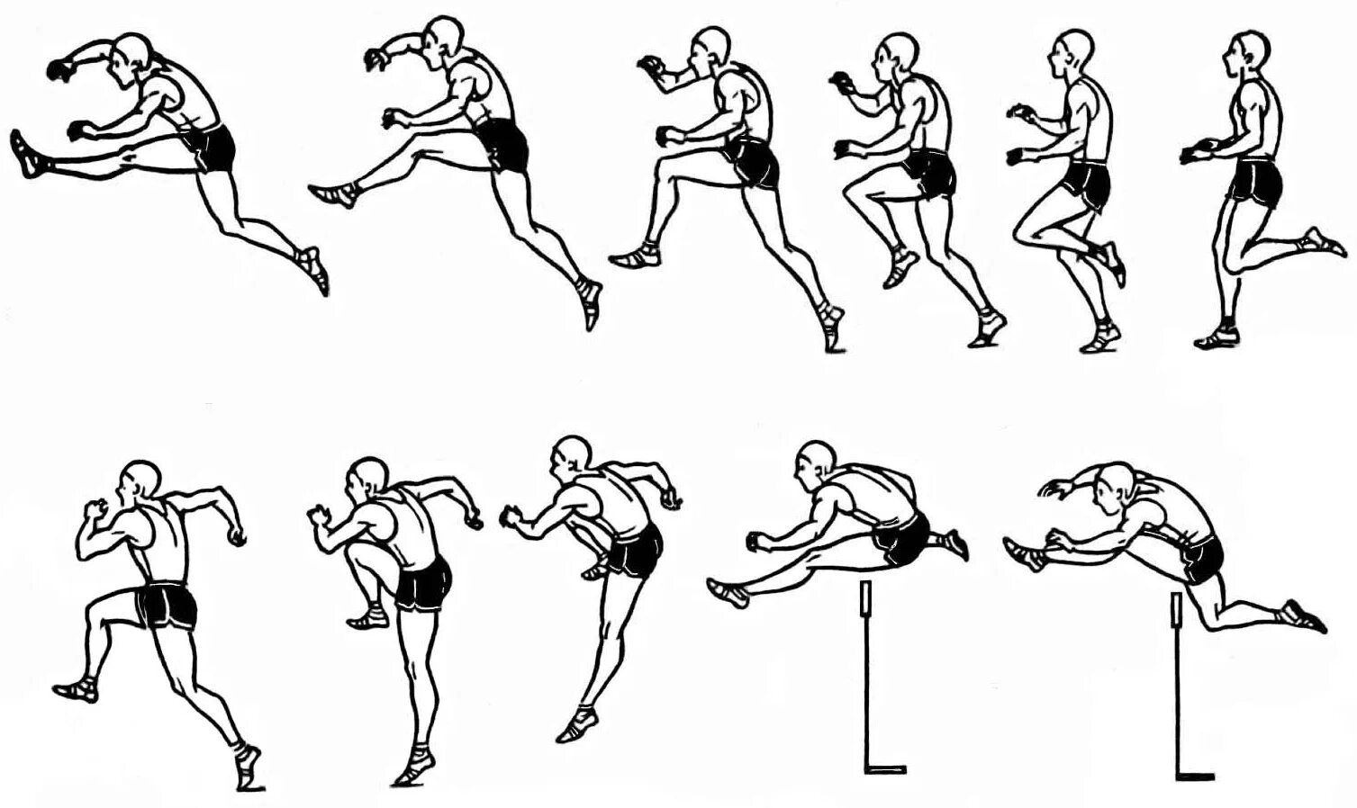 Физическая подготовка бегунов. Техника барьерного бега в легкой атлетике. Техника барьерного бега на 110 м.. Техника бега с барьерами. Барьерный бег техника выполнения.