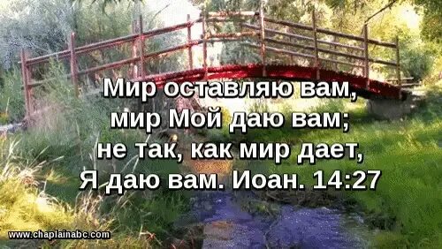 Мир мой оставляю вам мир мой даю вам. Мир оставляю вам. Мир мой даю вам не так как мир. Я даю вам мир Библия.