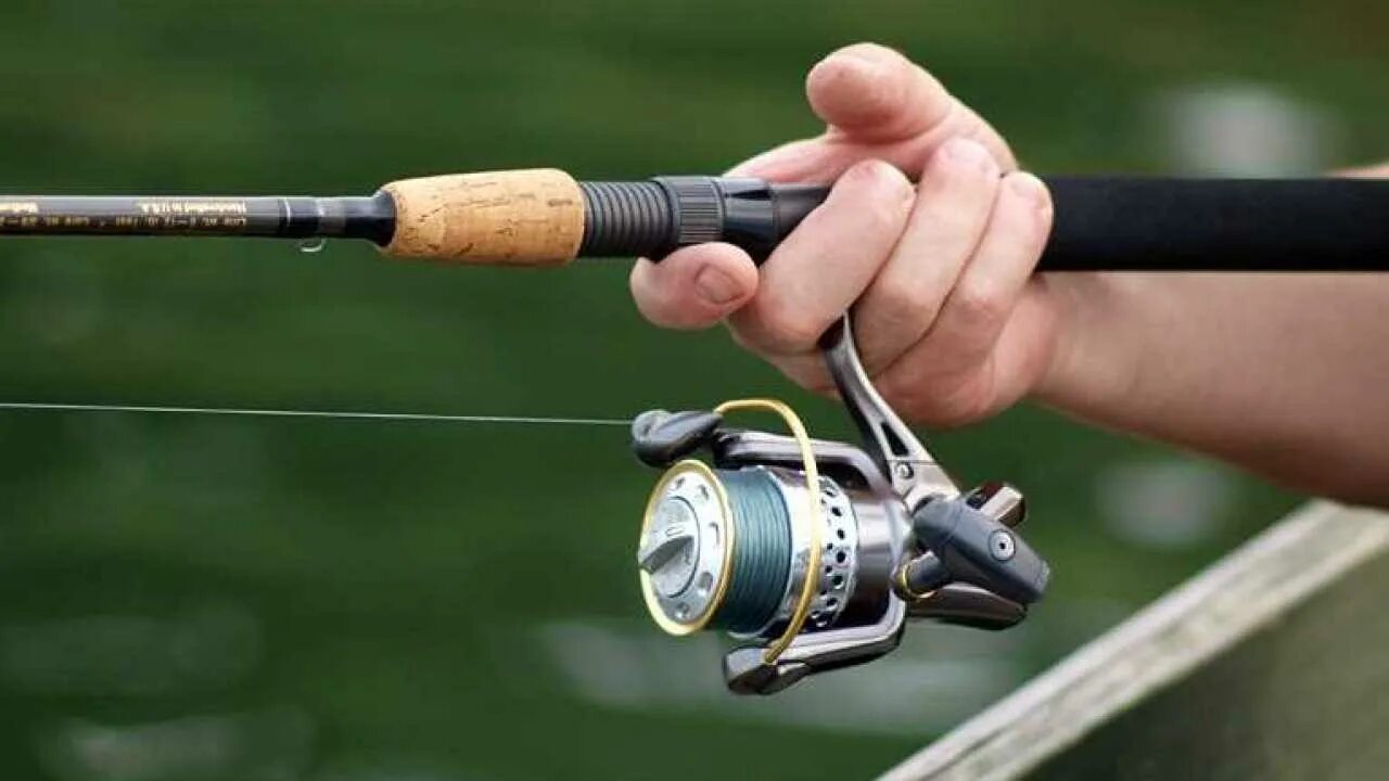 Спиннинг Ryobi DJIG. Спиннинг Red Fish Spin. Катушка для удочки сомоto Reel ops830. Спиннинг и катушка для твичинга.