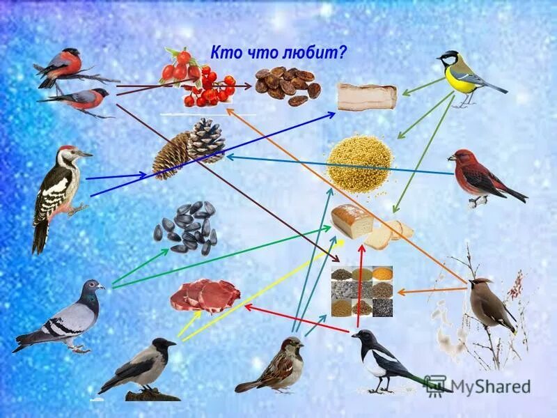 как живут пернатые друзья зимой подготовительная группа