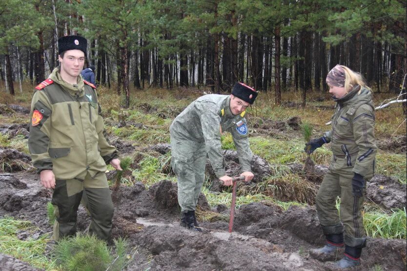 688 минприроды. Минприроды НСО. Леса дальнего Востока. Сотрудник Минприроды. Сотрудники Минприроды Новосибирской области.