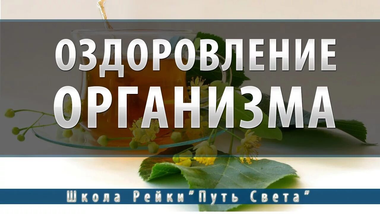Музыка оздоровления организма на клеточном уровне. Очищение организма на клеточном уровне. Детокс очищение организма на клеточном уровне. Медитация для начинающих. Омоложение организма на клеточном уровне.