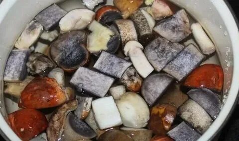 Сколько варить грибы перед жаркой подосиновики