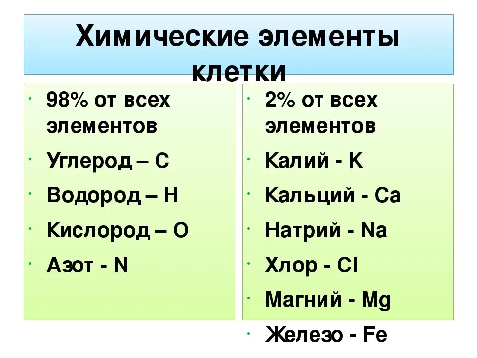 Химические элементы клетки 5 класс биология. Химические элементы клетки схема. Химические элементы кле ки. Химический состав клетки элементы. Группы химических элементов клетки