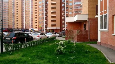 Внииссок 7