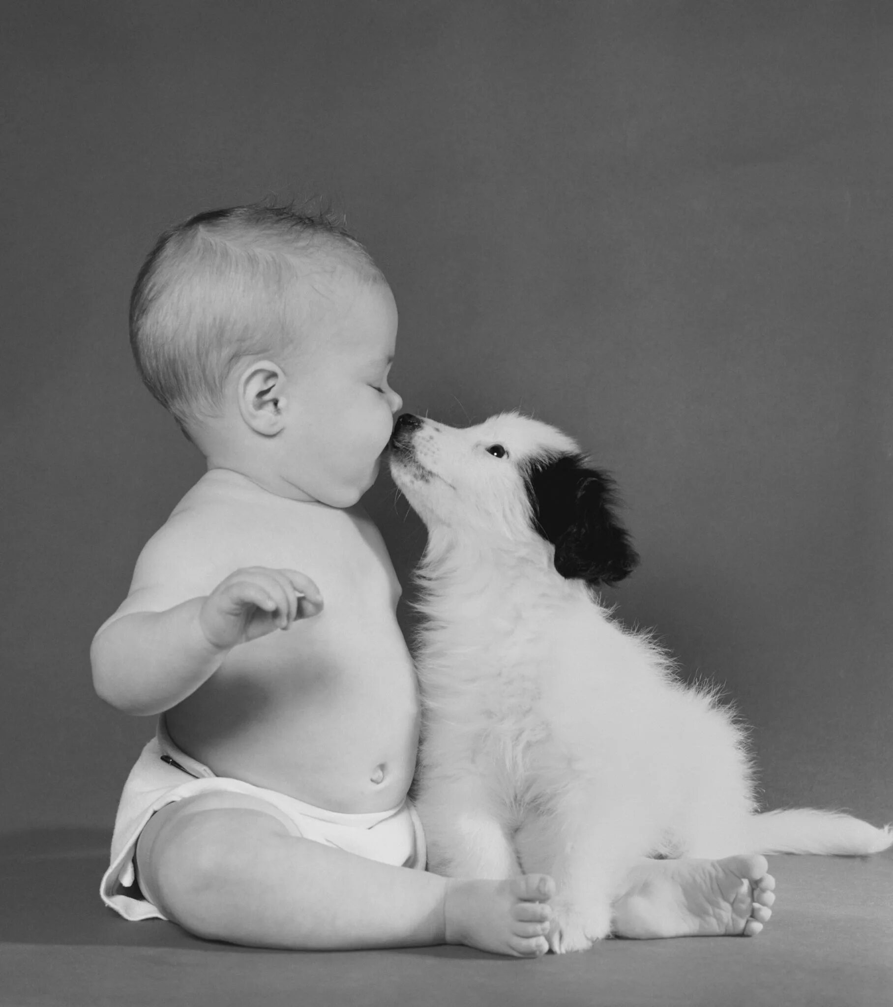 Щенок мальчик. Дети и животные Дружба. Животные картинки для детей. Собака для детей.
