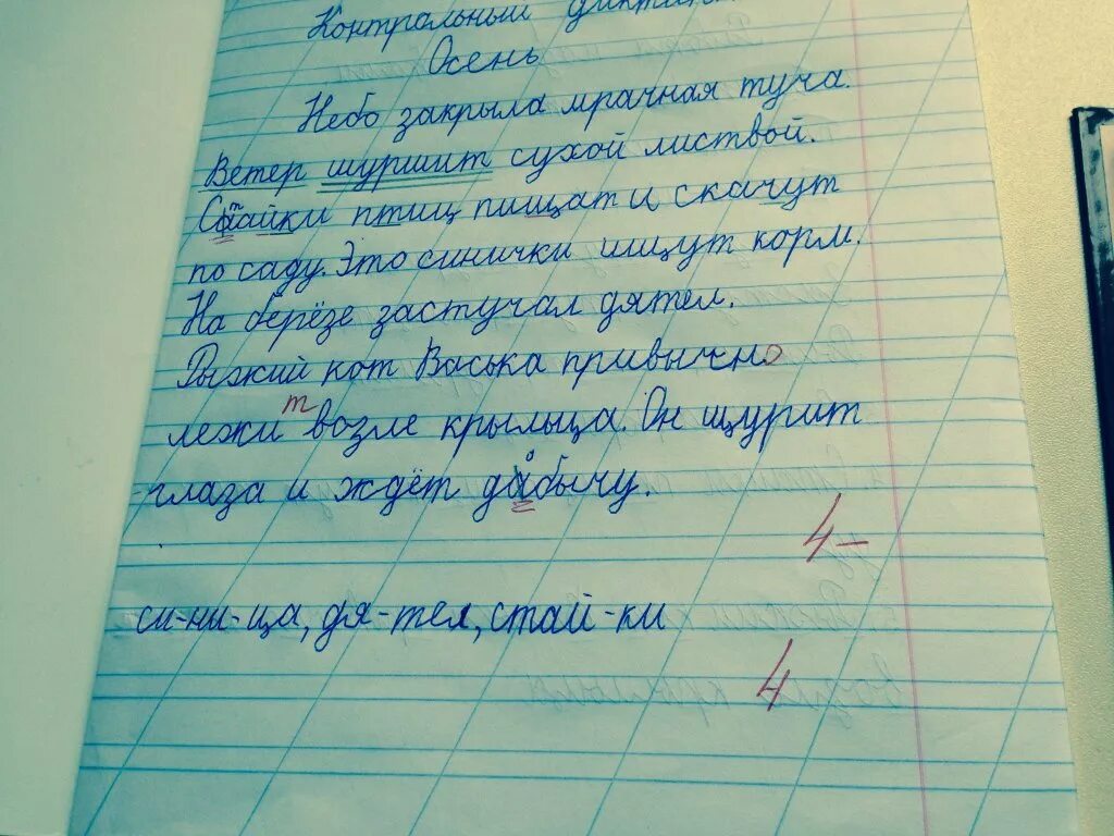 Оценка за диктант по русскому языку. План написания диктанта по русскому. Проверка работ по русскому языку. Проверка работ по русскому языку. Проверка тетрадей.
