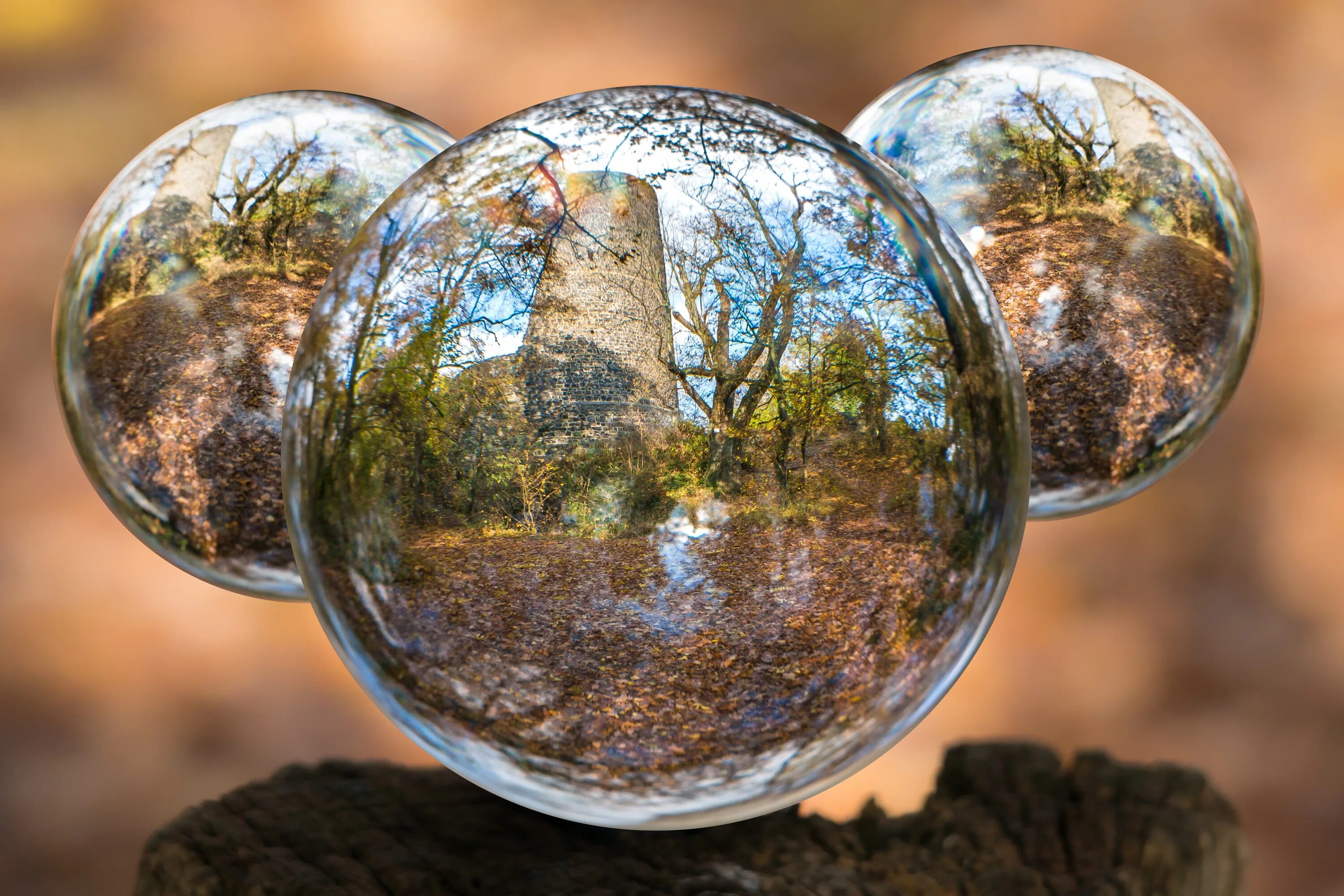 Шар стеклянный. Стеклянный шар отражение. Шар в природе. Отражение в стеклянном шаре.