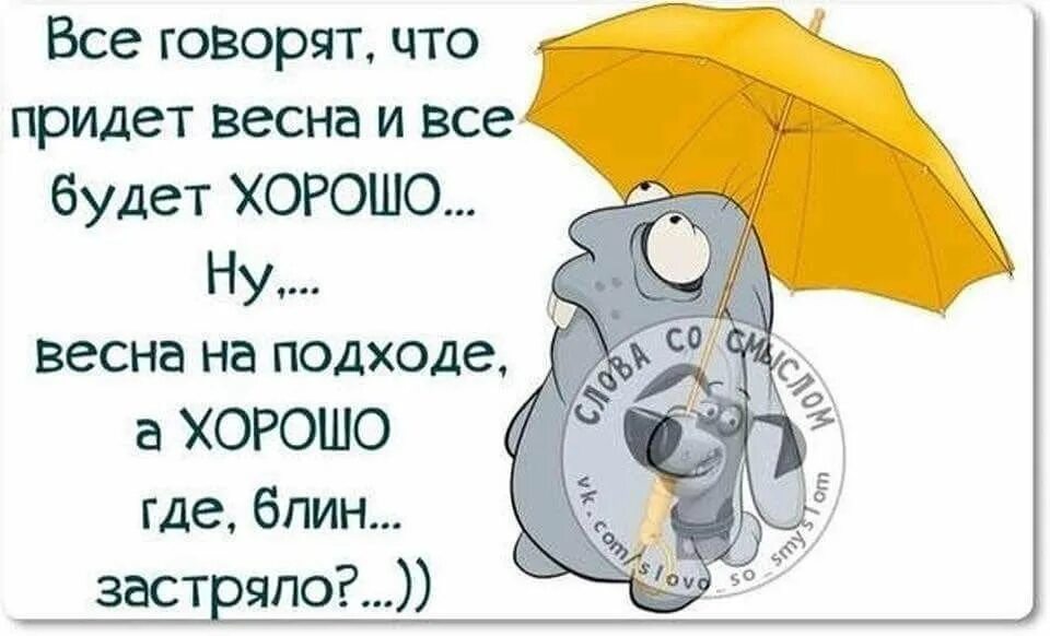 Про весну со смыслом. Открытки со смешными высказываниями. Весенние позитивные фразы в картинках. Картинки со смешными фразами.