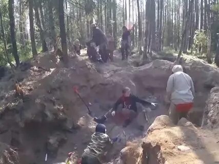 Окружные слеты движения первых