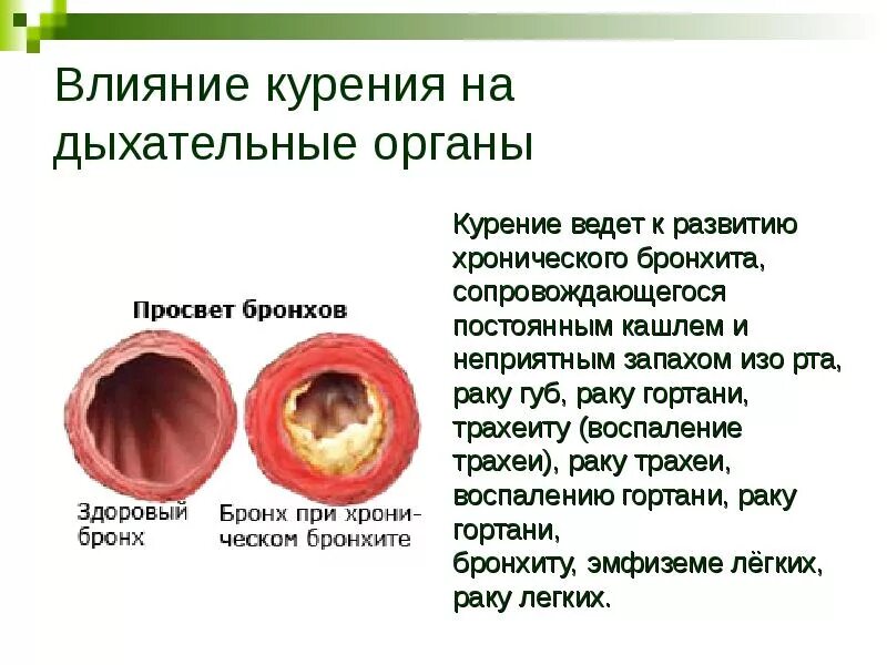 Как курение влияет на дыхательную систему