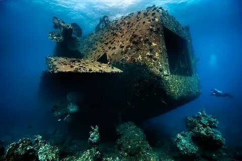 Shipwreck blox fruit