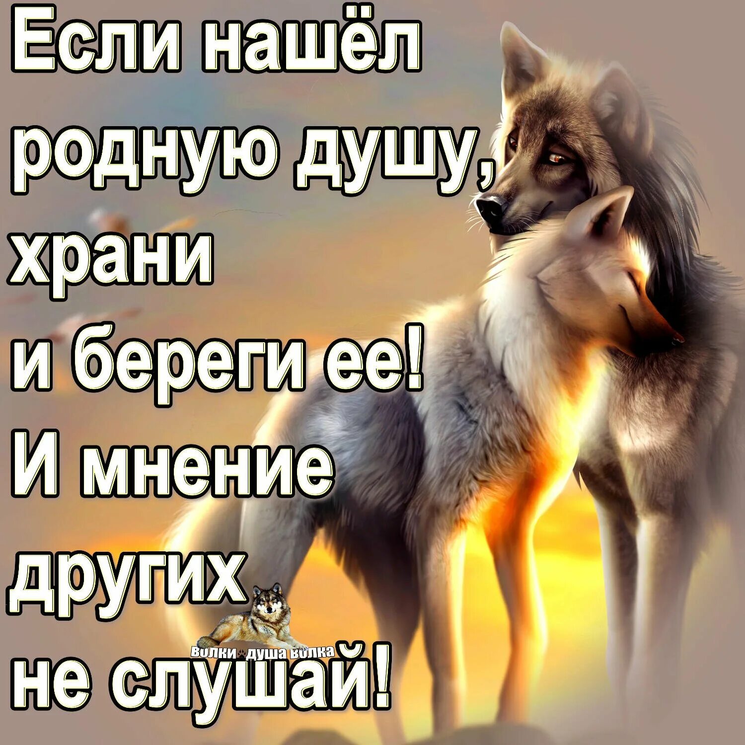 Родные души россия. Афоризмы про родственные души. Высказывания про родную душу. Родная душа фразы. Родная душа цитаты.