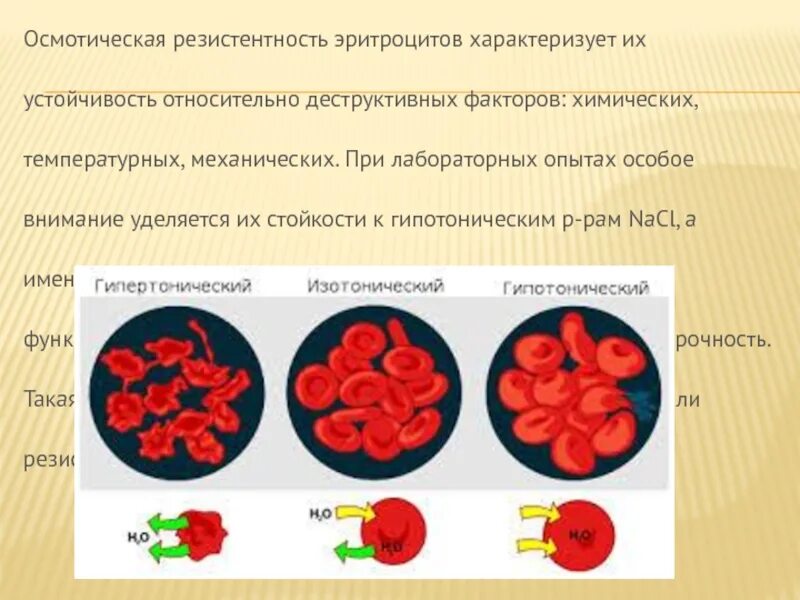 Относительной эритроциты