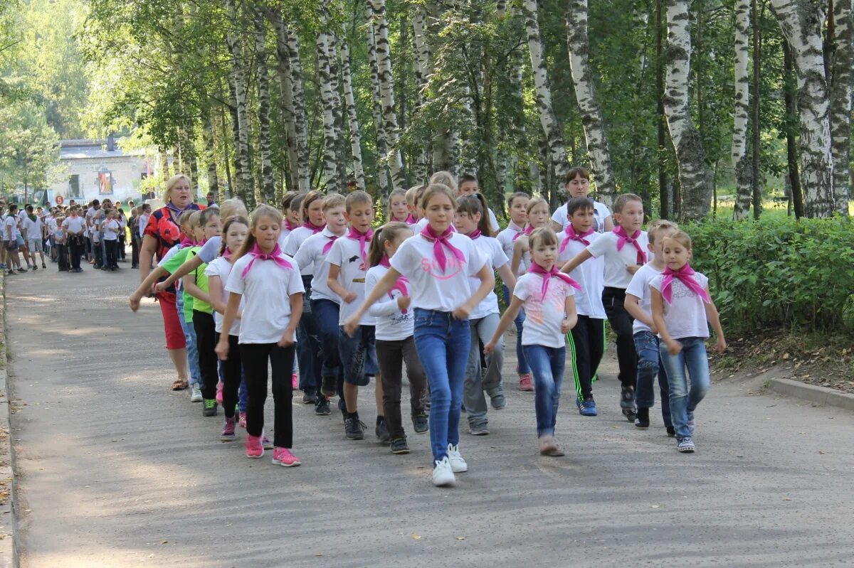лагерь эволюция нижегородской области. детский лагерь салют нижегородская область городецкий район. детский лагерь нижегородская область отзывы. детский лагерь нижегородская область отзывы. лагерь эволюция нижегородской области.