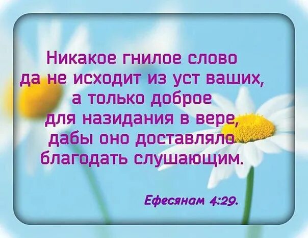 Что выходит из уст оскверняет человека. Никакое гнилое слово да не исходит из уст ваших. никакое гнилое слово да. библия ефесянам 4:29. никакое гнилое слово да не исходит.
