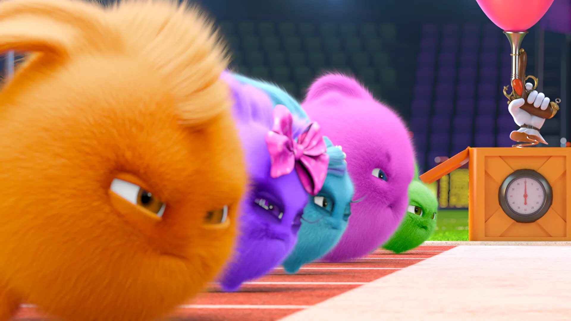 солнечные зайчики видео