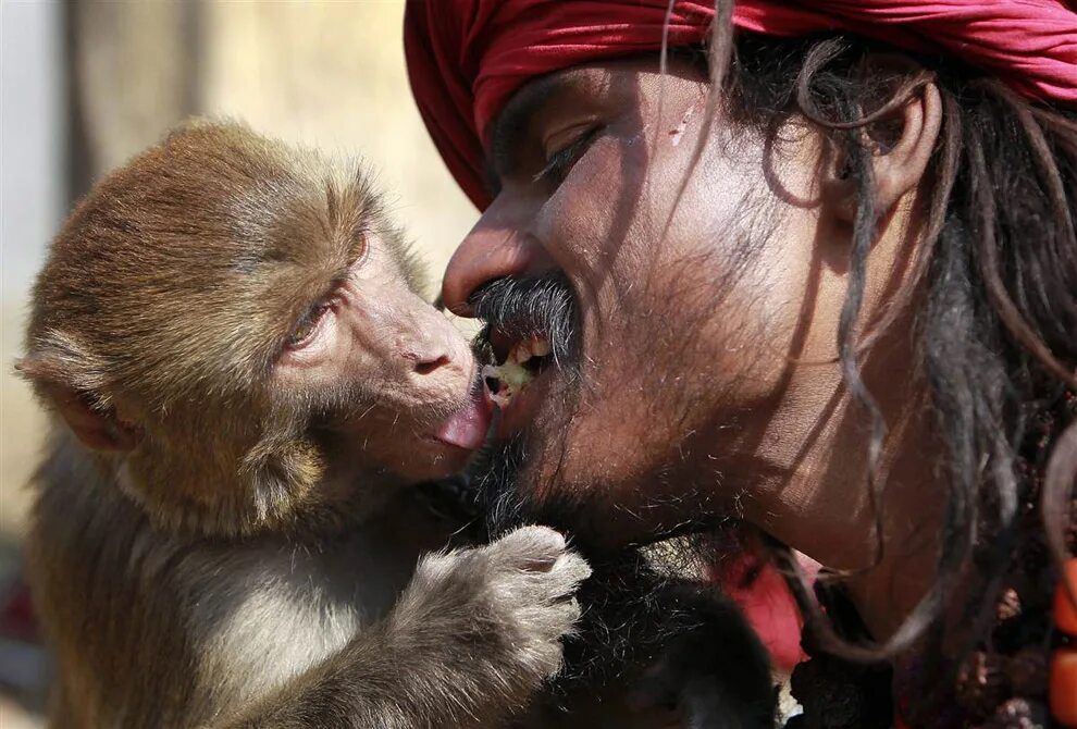 Мужчина обезьяна любовь. Человек с обезьянкой. Люди макаки. Парень с обезьянкой. Человек мартышка.