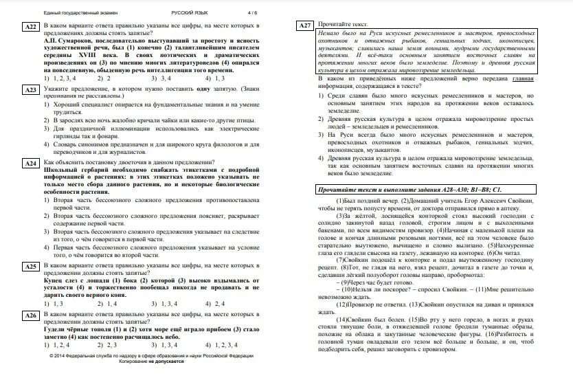Досрочный вариант русский язык