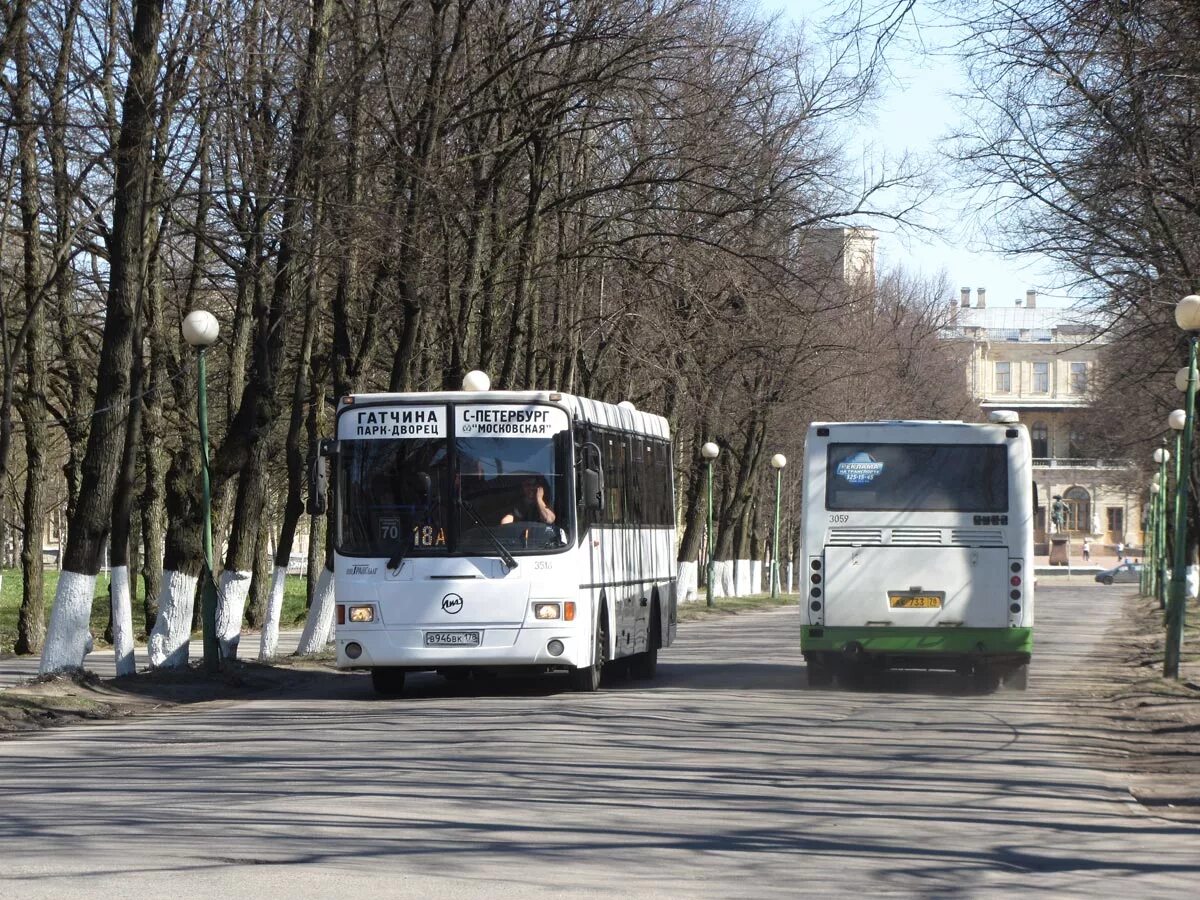 К18 Гатчина. К 18 А автобус Гатчина. Автобусы на аэродром Гатчина. Общественный транспорт Гатчины. Автобус 3 гатчина