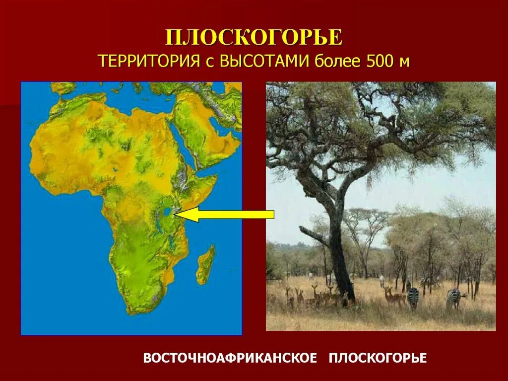 Восточное плоскогорье африки. Восточно-африканское плоскогорье. Восточно африканское плоскогорье на карте. Плоскогорья Африки. Восточноафрикансое плоскогорье.