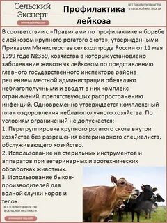 Насилие крупнорогатого скота какая статья