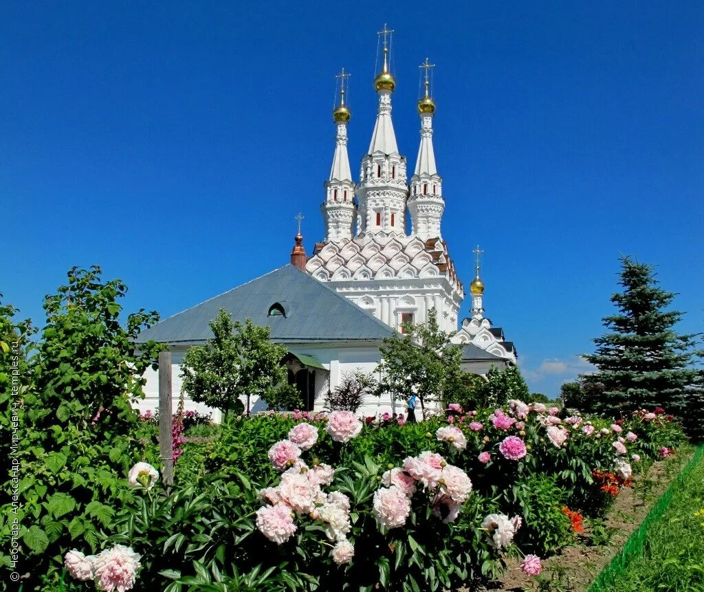 Вязьма ул ленина. Ассортимент цветочной рассады. Цветочный рай, вязьма, улица ленина. Вязьма улица 25 октября. Цветочный вязьма.
