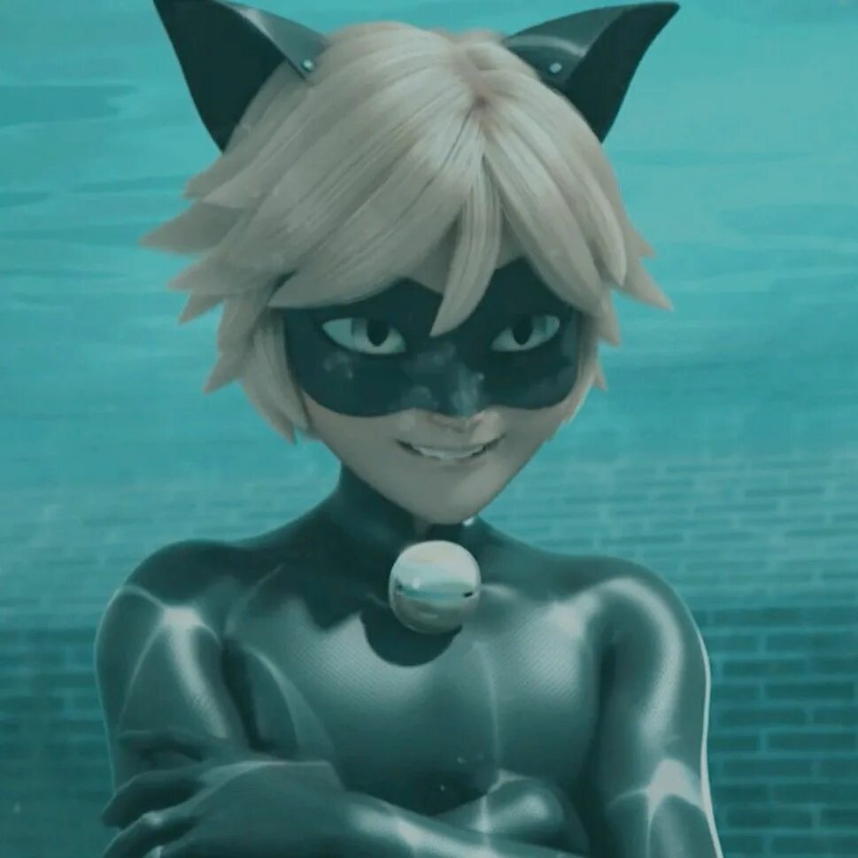 Аква баг и аква кот. Аква супер кот. Леди баг аквабаг. Аква кот нуар. Аква кот.