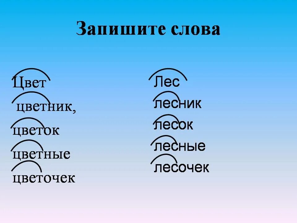 Березка однокоренные. Однокоренные слова. Однокоренные слова к слову. Однокоренные слова к сло. Подобрать однокоренные слова.