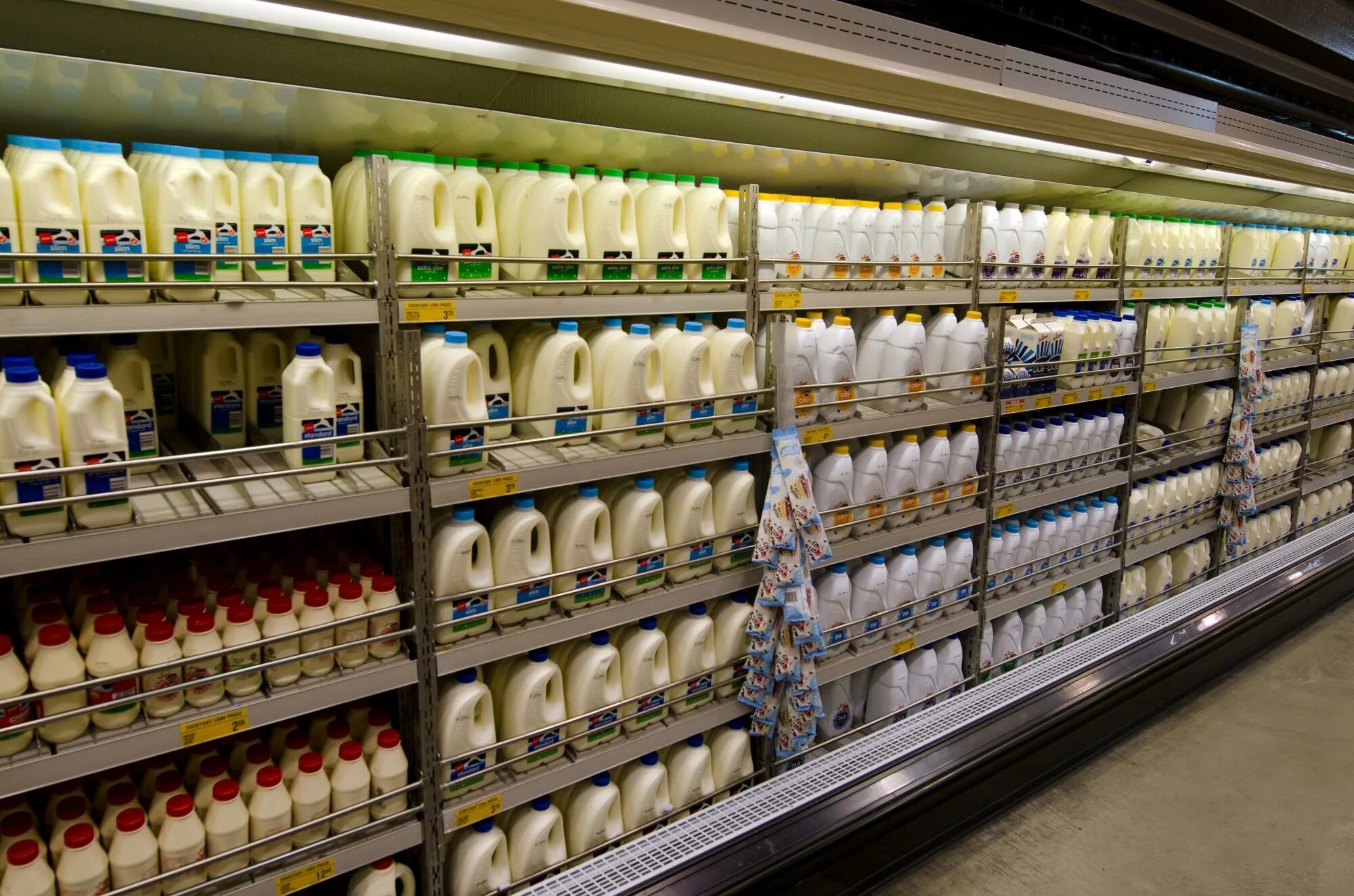 Milk is on the upper shelf
