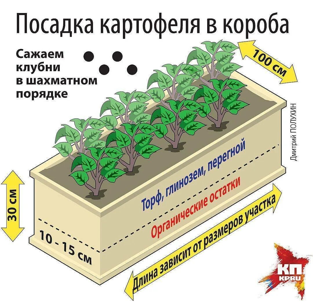 Посадка картофеля в гряды короба. Грядки короба для картофеля. Посадка картофеля в коробах. Схема посадки картофеля. Способы высадки