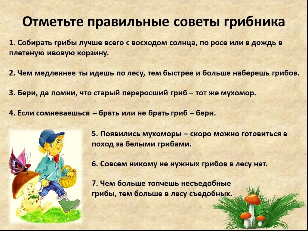 Мы знаем что когда берешь грибы