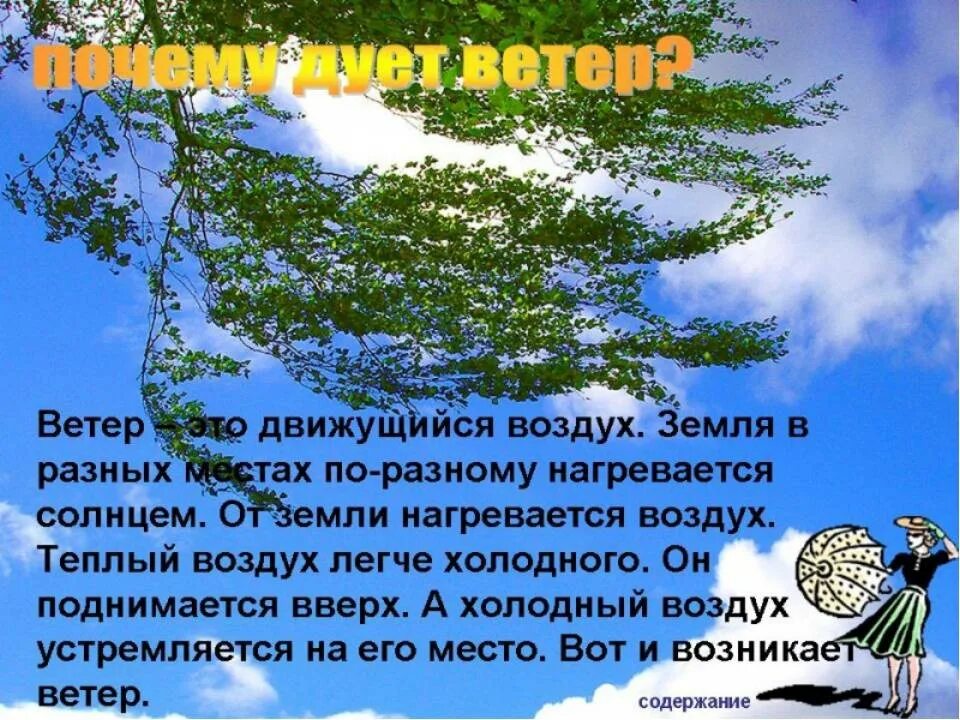 Рассуждение на тему ветер. Ветер дует с севера. Зачем нужен ветер. Причины ветра. Почему ветер разный.