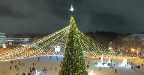 Ели великий новгород