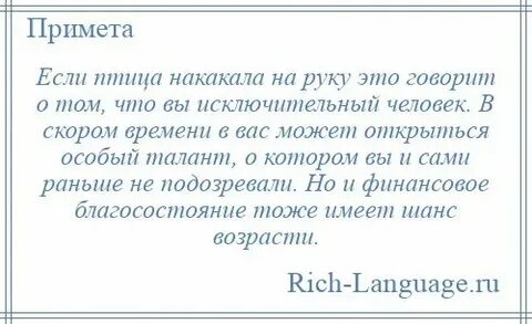 Приметы птичка накакала на руку