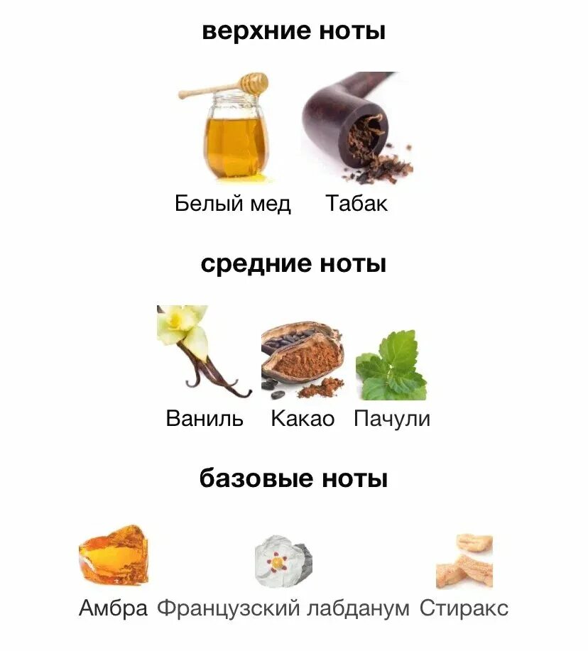 Зимние ароматы для мужчин лучшие где ноты табака, алкоголь и кожа. Ноты табака. Кристиан лакруа нуит. Духи с нотками табака. Ноты табака.