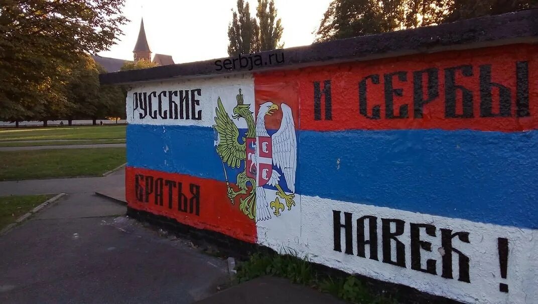 Сербия и русские братья навек. Сербы и русские братья. Русские и сербы братья навек на сербском. Сербы братья на сербском. Русские сербы братья заувек.